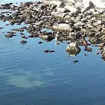 Lido 10b Civitanova Marche
