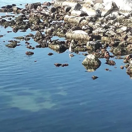 Lido 10b Civitanova Marche