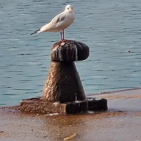 Lido 10b Lägenhet Civitanova Marche